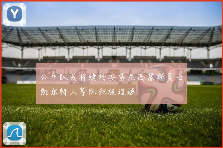 公牛队或将续约安芬尼西蒙斯勇士凯尔特人等队积极追逐